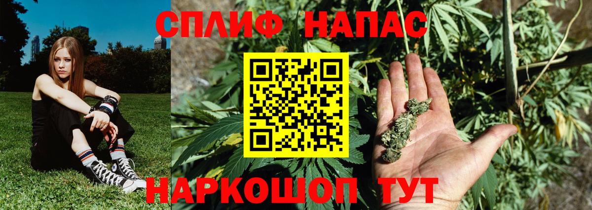 Каннабис планчик Екатеринбург